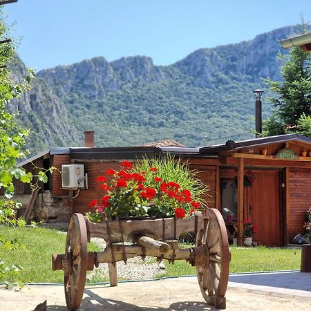Konak -Guest House -Ramonda Serbika Nisz Zewnętrze zdjęcie
